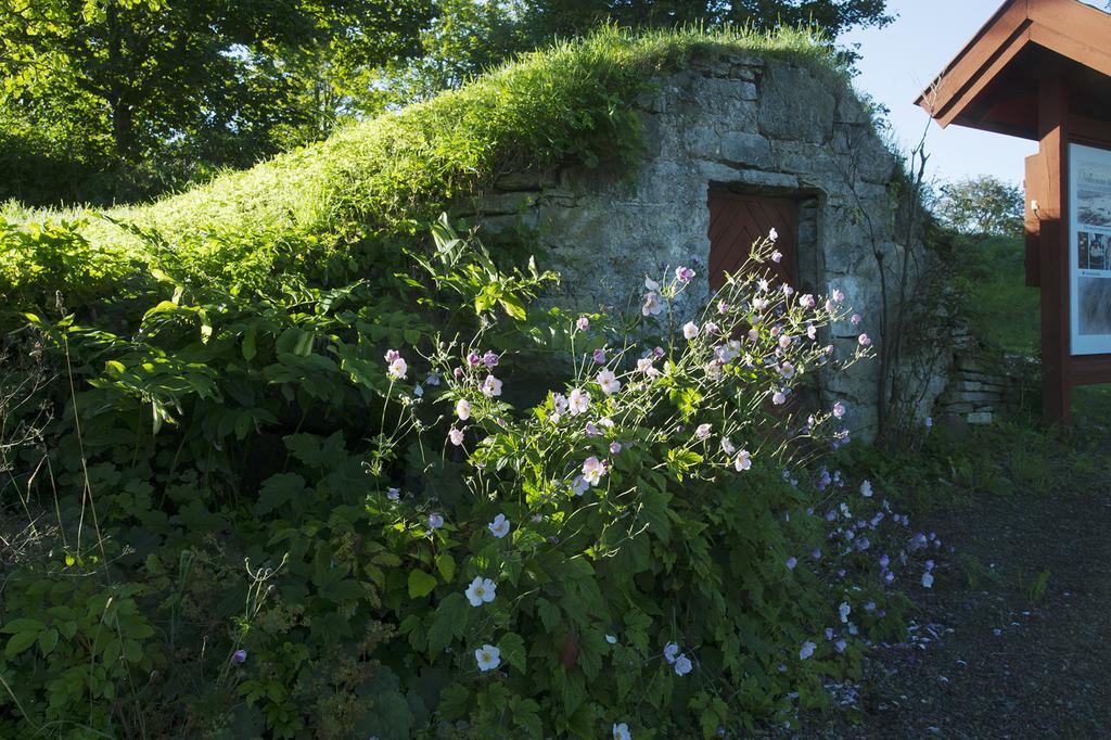 Loefwings B&B Broddetorp Eksteriør bilde